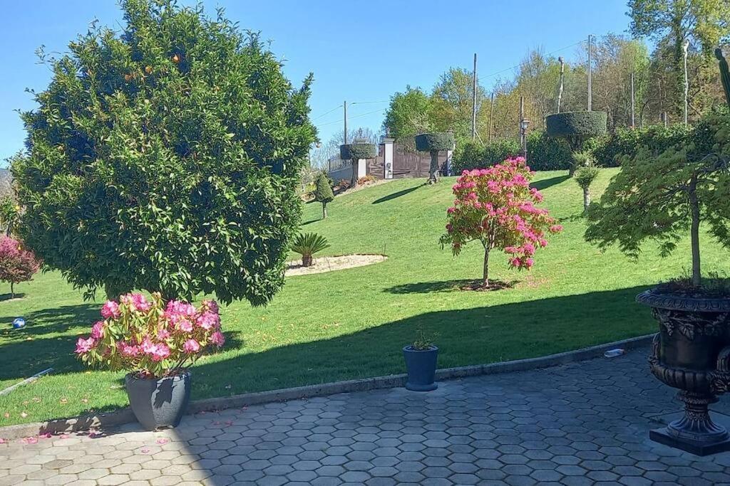 Sonho Verde Ribeira de Pena Exterior photo