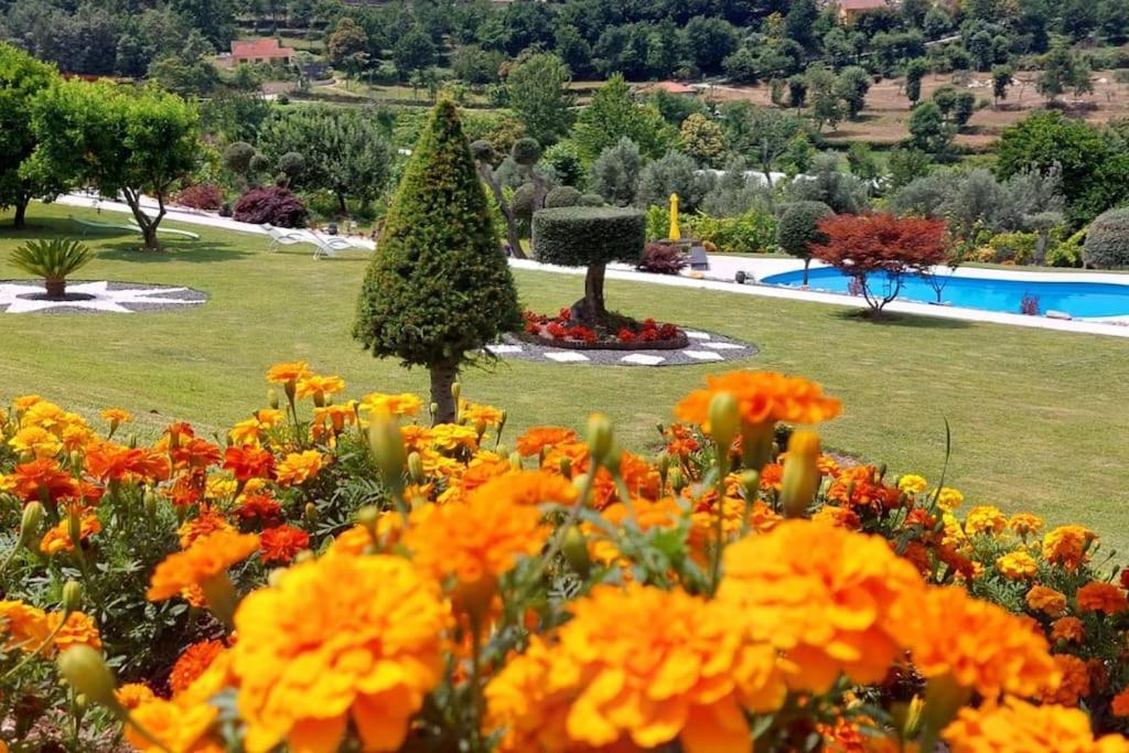Sonho Verde Ribeira de Pena Exterior photo